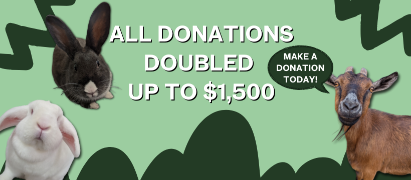 Giving Tuesday Double Impact