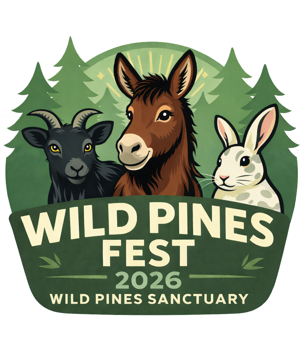 Wild Pines Festival 2025